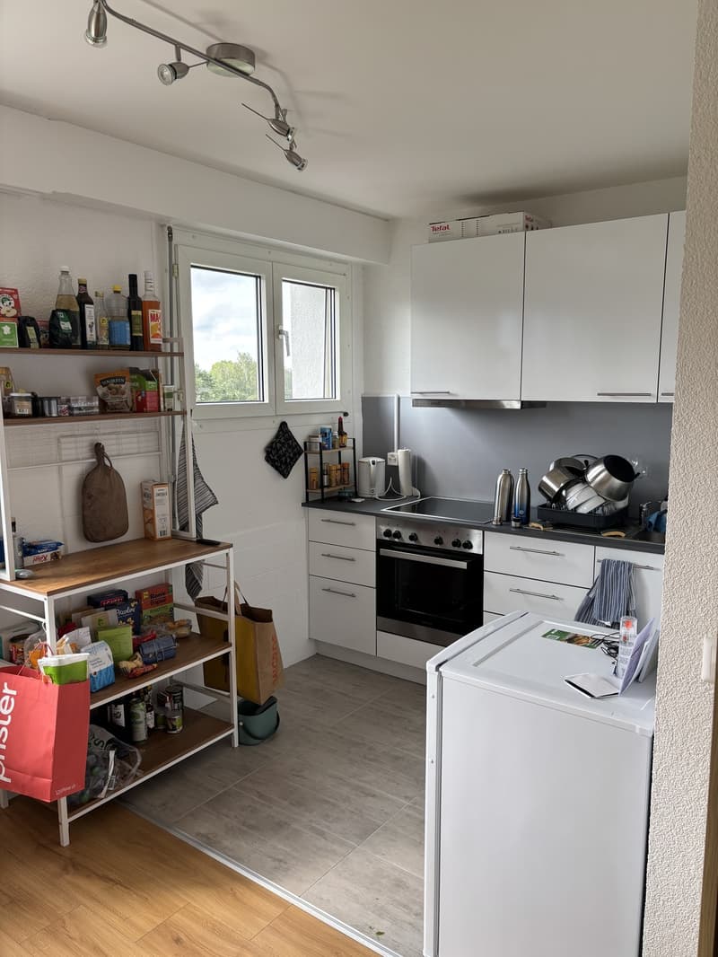 Remise de bail - 2 pièces 39m² - Aigle (7)