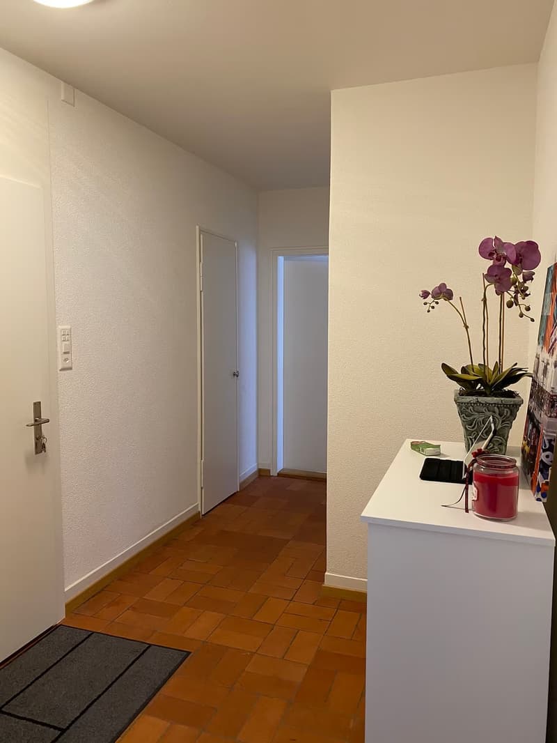 Furnished Apartment for Sublet in Seefeld, Zurich  from Nov 1st (3)