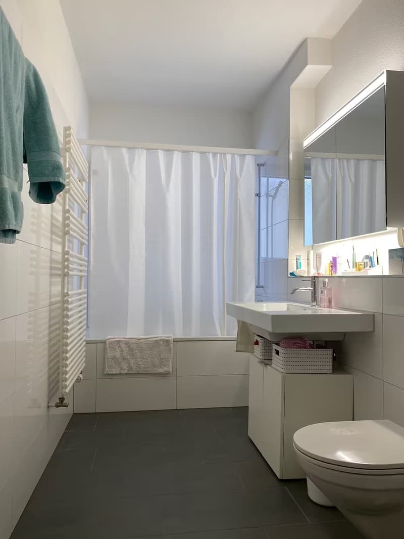 Furnished Apartment for Sublet in Seefeld, Zurich  from Nov 1st (4)