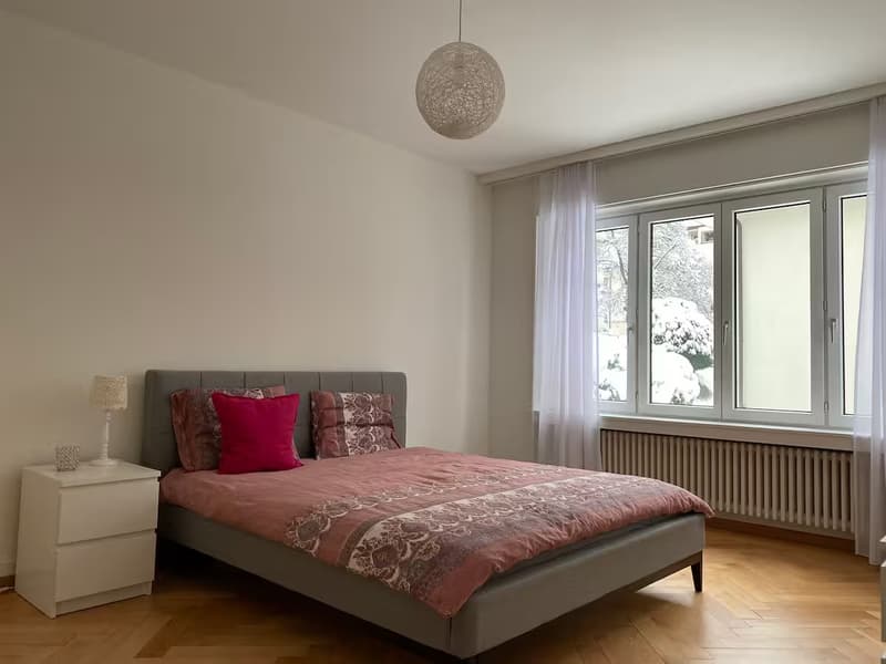 Furnished Apartment for Sublet in Seefeld, Zurich  from Nov 1st (5)
