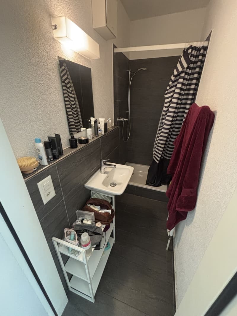 Big room with private bathroom (9)