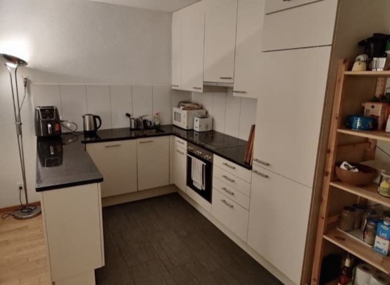 Big room with private bathroom (4)