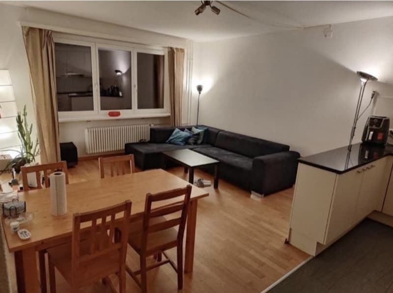 Big room with private bathroom (5)