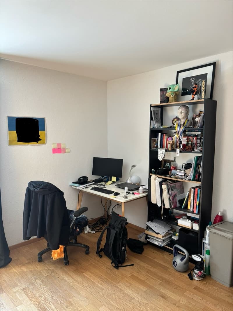 Big room with private bathroom (6)