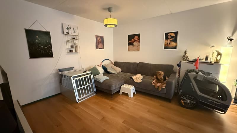 Nachmieter gesucht per 1. September 2026  2.5-Zimmer-Neubauwohnung in Winterthur-Hegi (3)