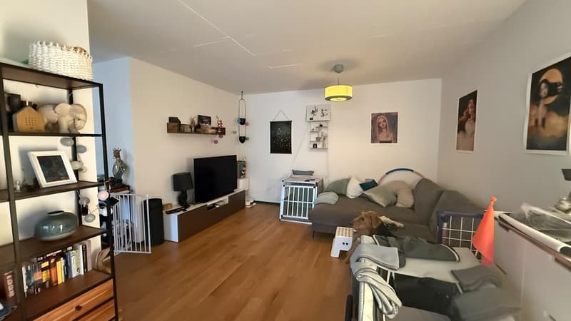 Nachmieter gesucht per 1. September 2026  2.5-Zimmer-Neubauwohnung in Winterthur-Hegi (4)