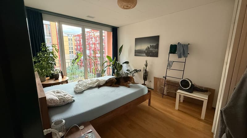 Nachmieter gesucht per 1. September 2026  2.5-Zimmer-Neubauwohnung in Winterthur-Hegi (2)