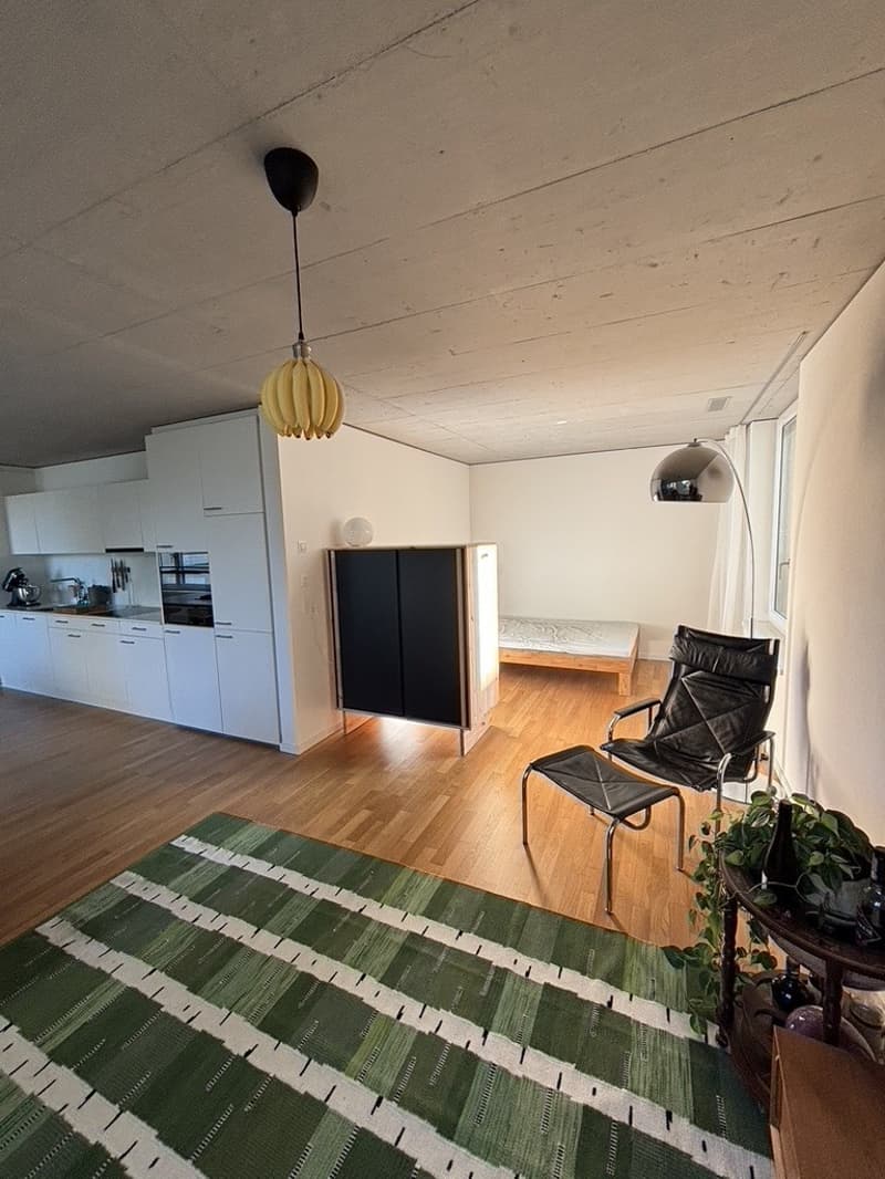 Moderne Loftwohnung im Labitzke-Areal (5)