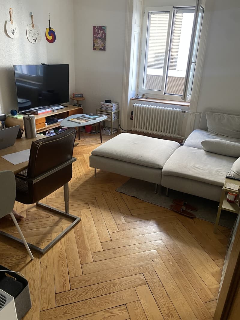 3-Room Apartment in Zurich Kreis 4  Long-Term Tenants Wanted (6)