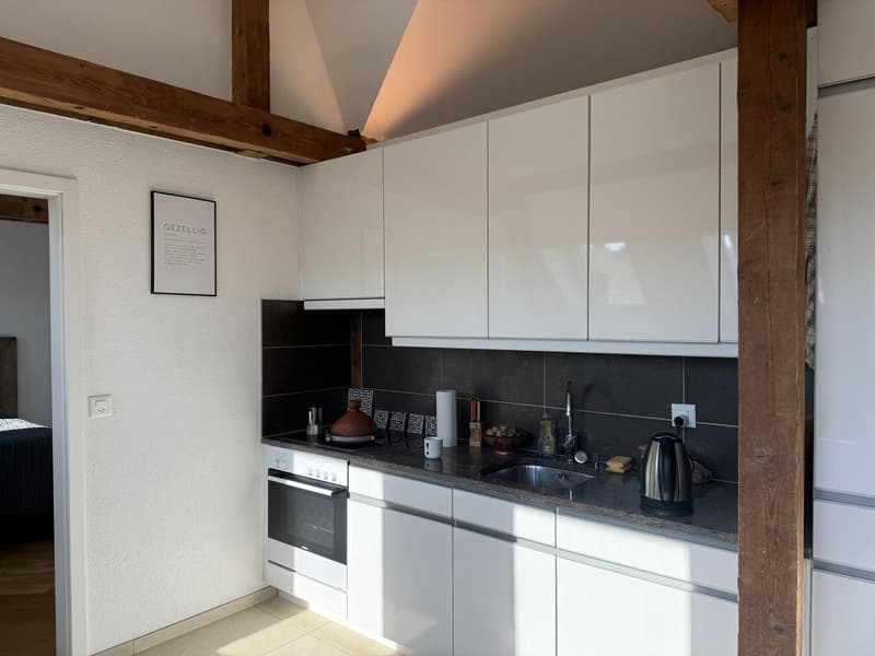 Moderne 2,5-Zimmer-Dachgeschosswohnung (7)