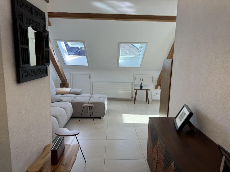 Moderne 2,5-Zimmer-Dachgeschosswohnung (9)