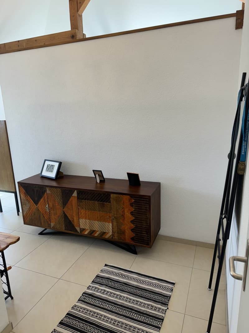 Moderne 2,5-Zimmer-Dachgeschosswohnung (4)