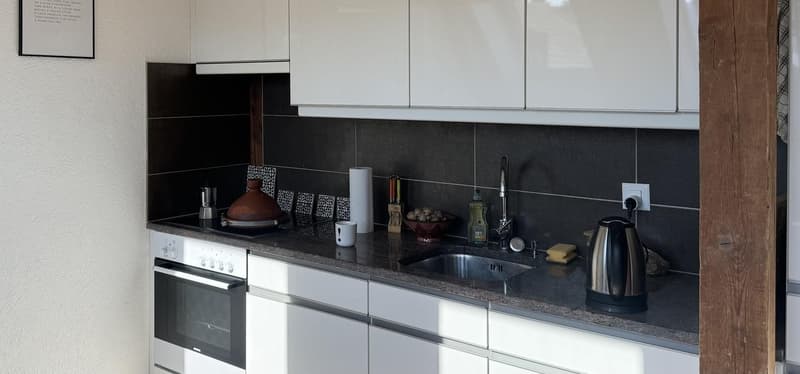 Moderne 2,5-Zimmer-Dachgeschosswohnung (2)