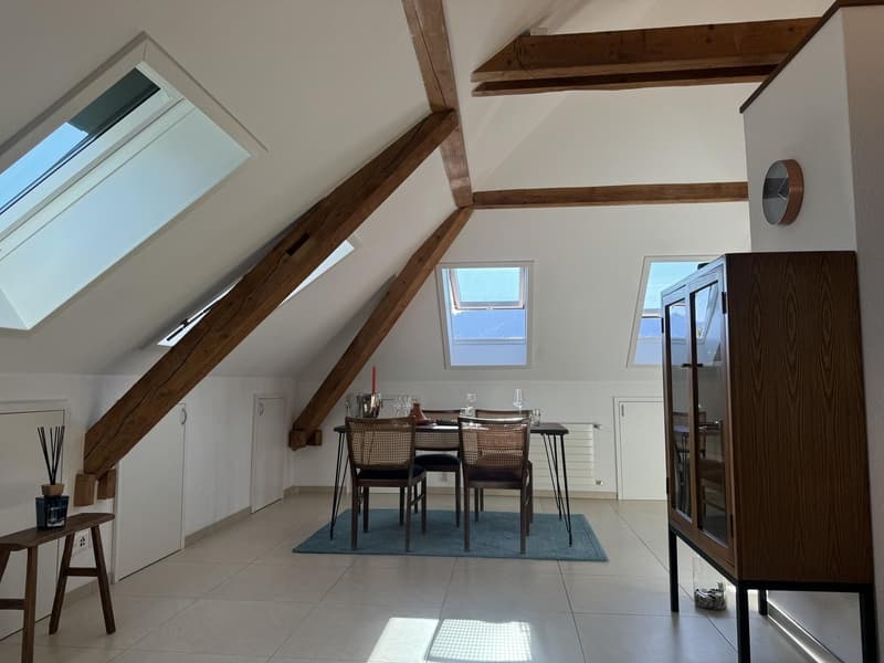 Moderne 2,5-Zimmer-Dachgeschosswohnung (5)