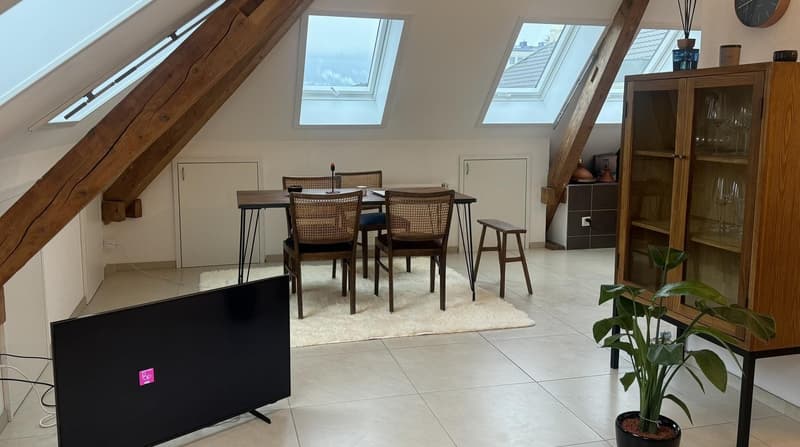 Moderne 2,5-Zimmer-Dachgeschosswohnung (3)