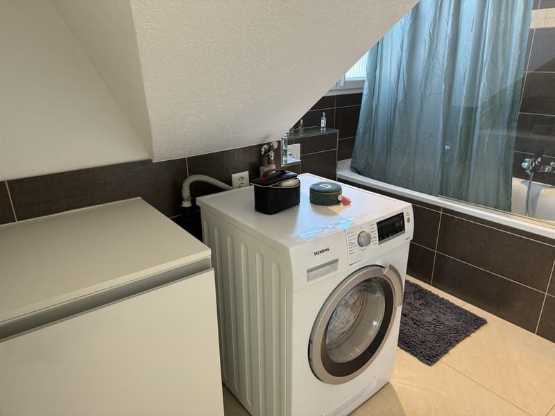 Moderne 2,5-Zimmer-Dachgeschosswohnung (10)