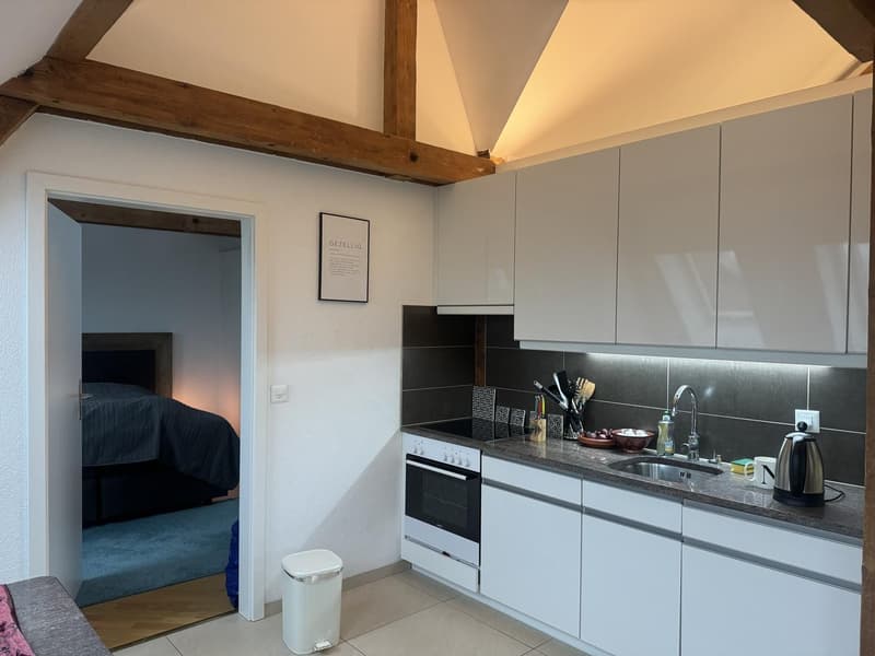 Moderne 2,5-Zimmer-Dachgeschosswohnung (12)