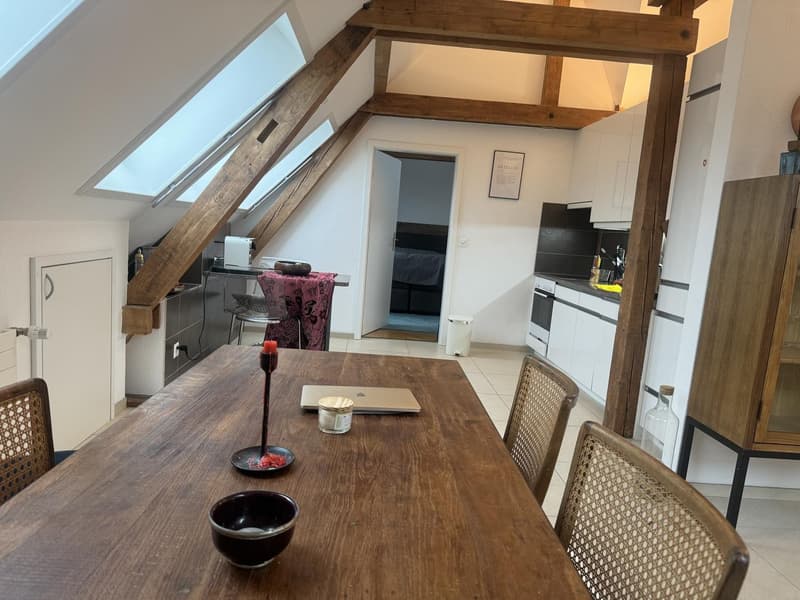 Moderne 2,5-Zimmer-Dachgeschosswohnung (1)