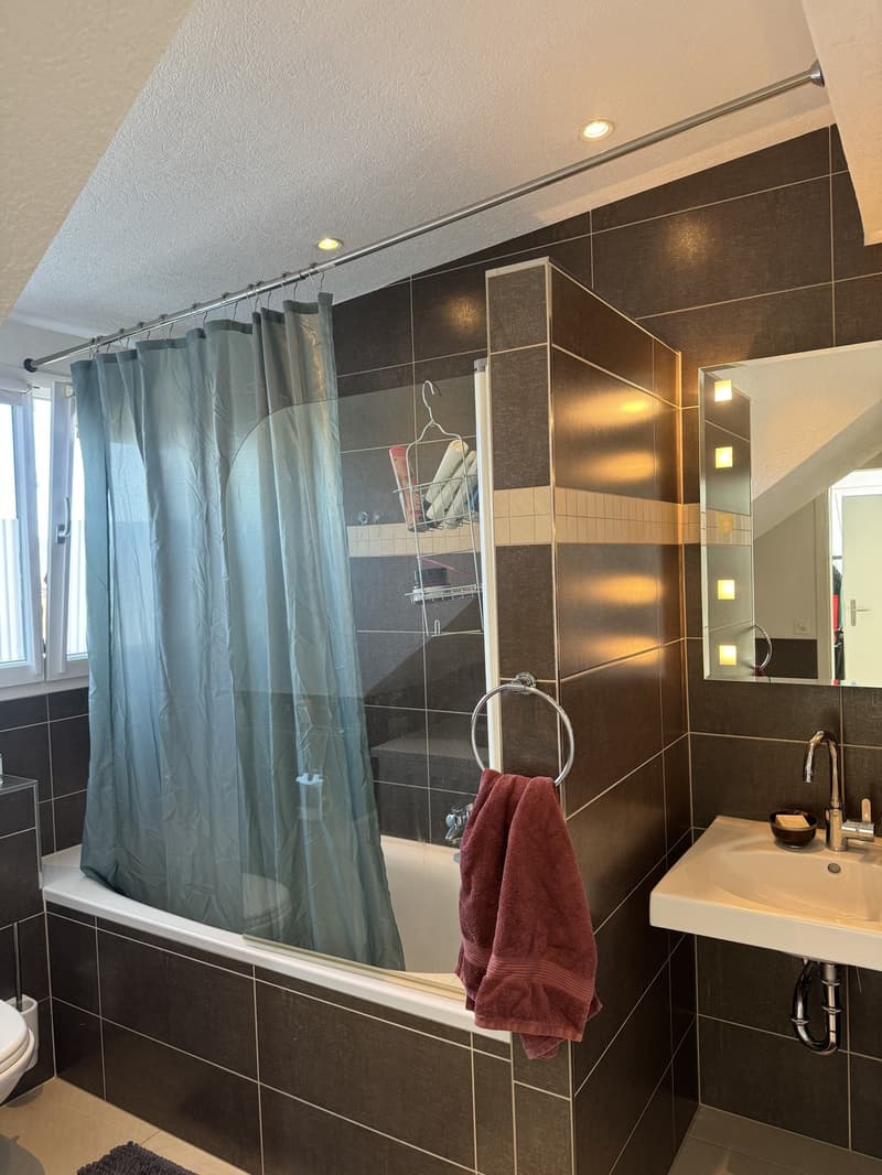 Moderne 2,5-Zimmer-Dachgeschosswohnung (13)