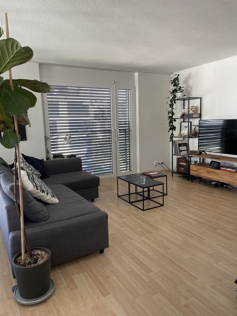 Helle 3.5-Zimmer-Wohnung in Zürich-Seebach 84 m² mit Wintergarten (4)