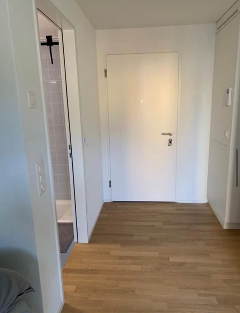 Moderne Wohnung mittendrin (3)