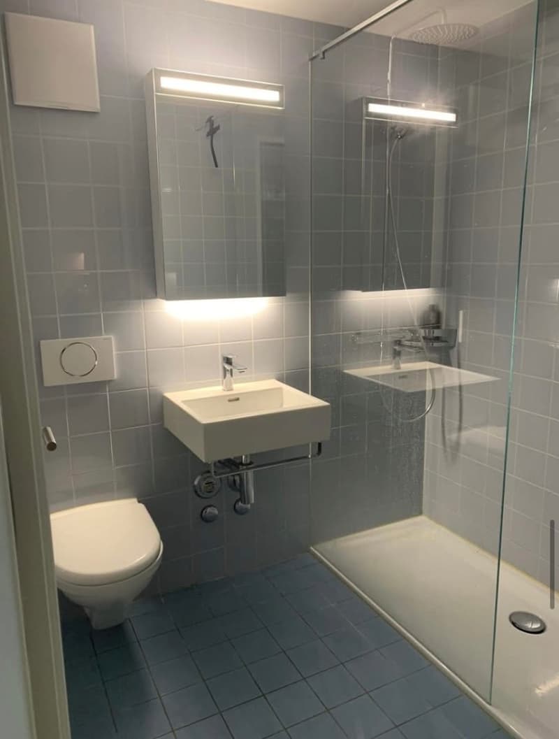 Moderne Wohnung mittendrin (6)