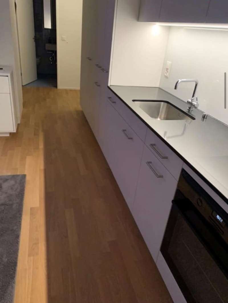 Moderne Wohnung mittendrin (5)