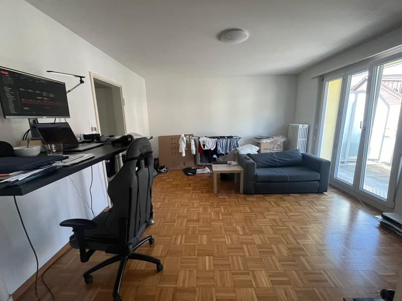 2 rooms apartment, 8135 Langnau Am Albis (4)
