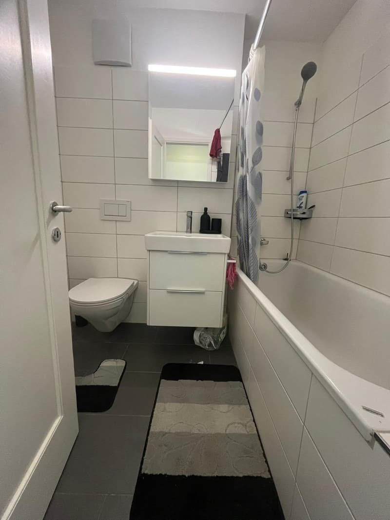 2 rooms apartment, 8135 Langnau Am Albis (6)