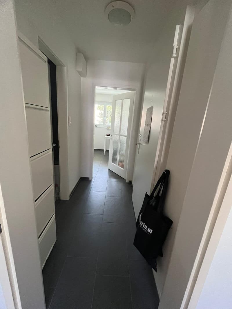 2 rooms apartment, 8135 Langnau Am Albis (1)