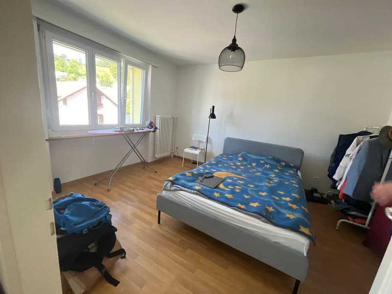 2 rooms apartment, 8135 Langnau Am Albis (2)