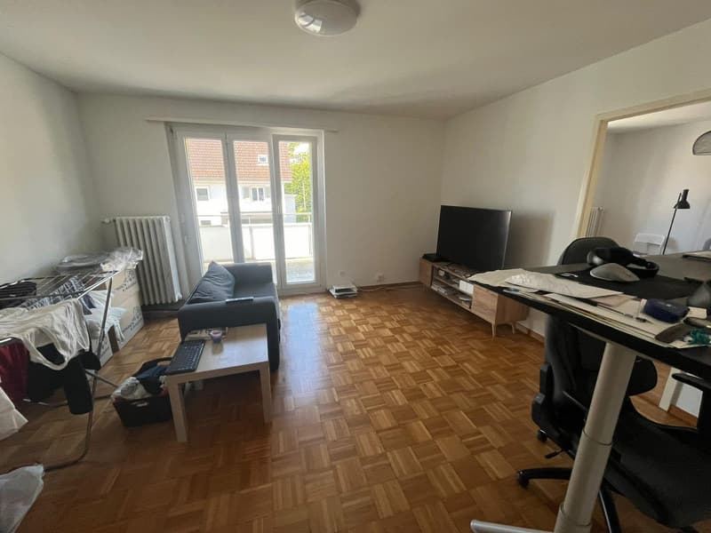 2 rooms apartment, 8135 Langnau Am Albis (3)
