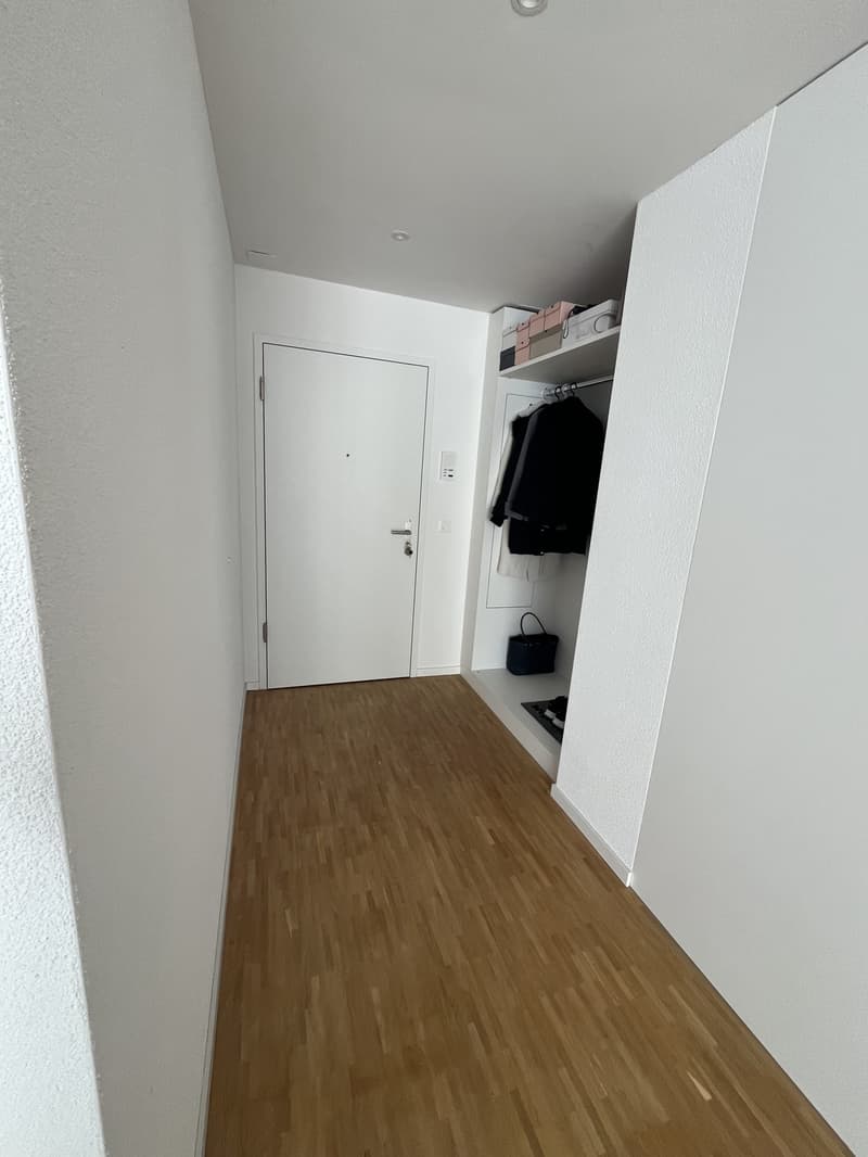 Moderne 2.5 Zimmerwohnung (Attika) (3)