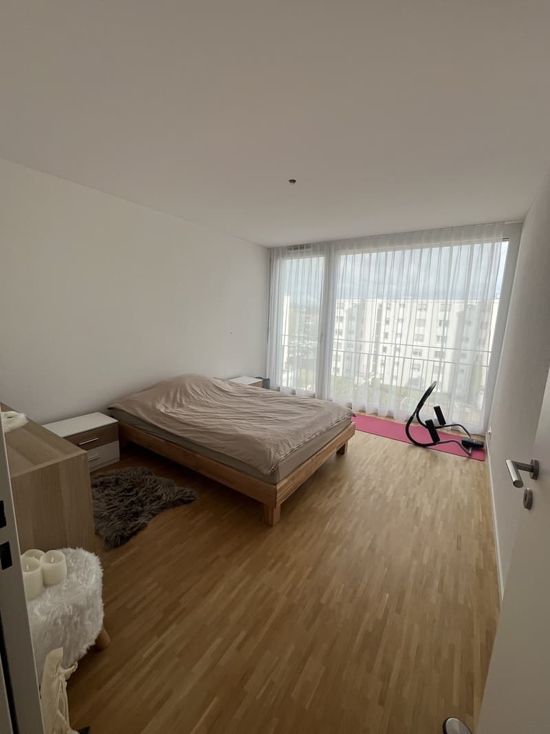 Moderne 2.5 Zimmerwohnung (Attika) (2)