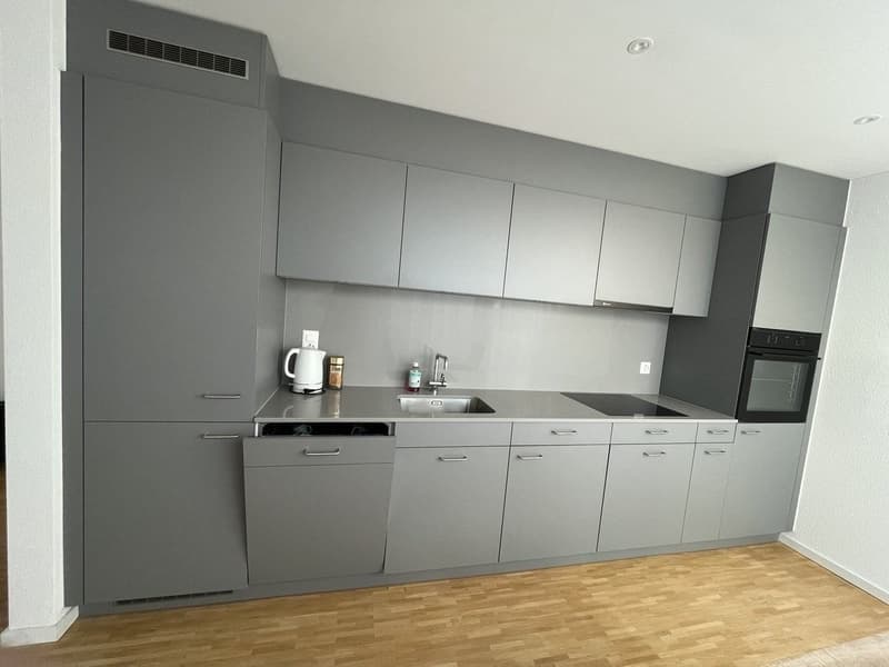 Moderne 2.5 Zimmerwohnung (Attika) (4)