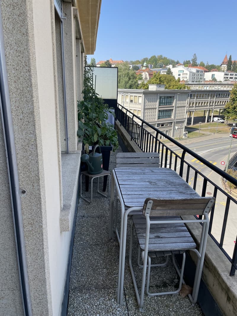Appartement 2.5 pièces à Fribourg (9)