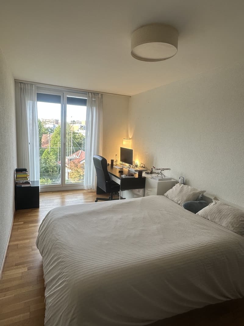 Furnished Room in Seebach (2)
