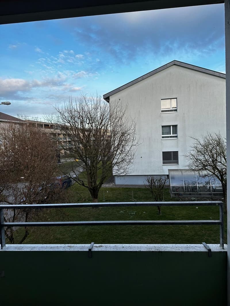 3.5 Zimmer Wohnung in Belp (5)