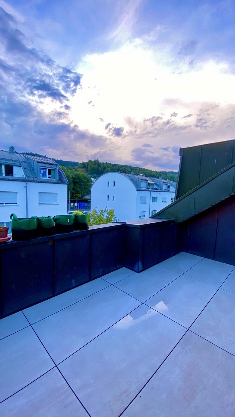 Immediately Available Beautiful Attic Apartment (3)