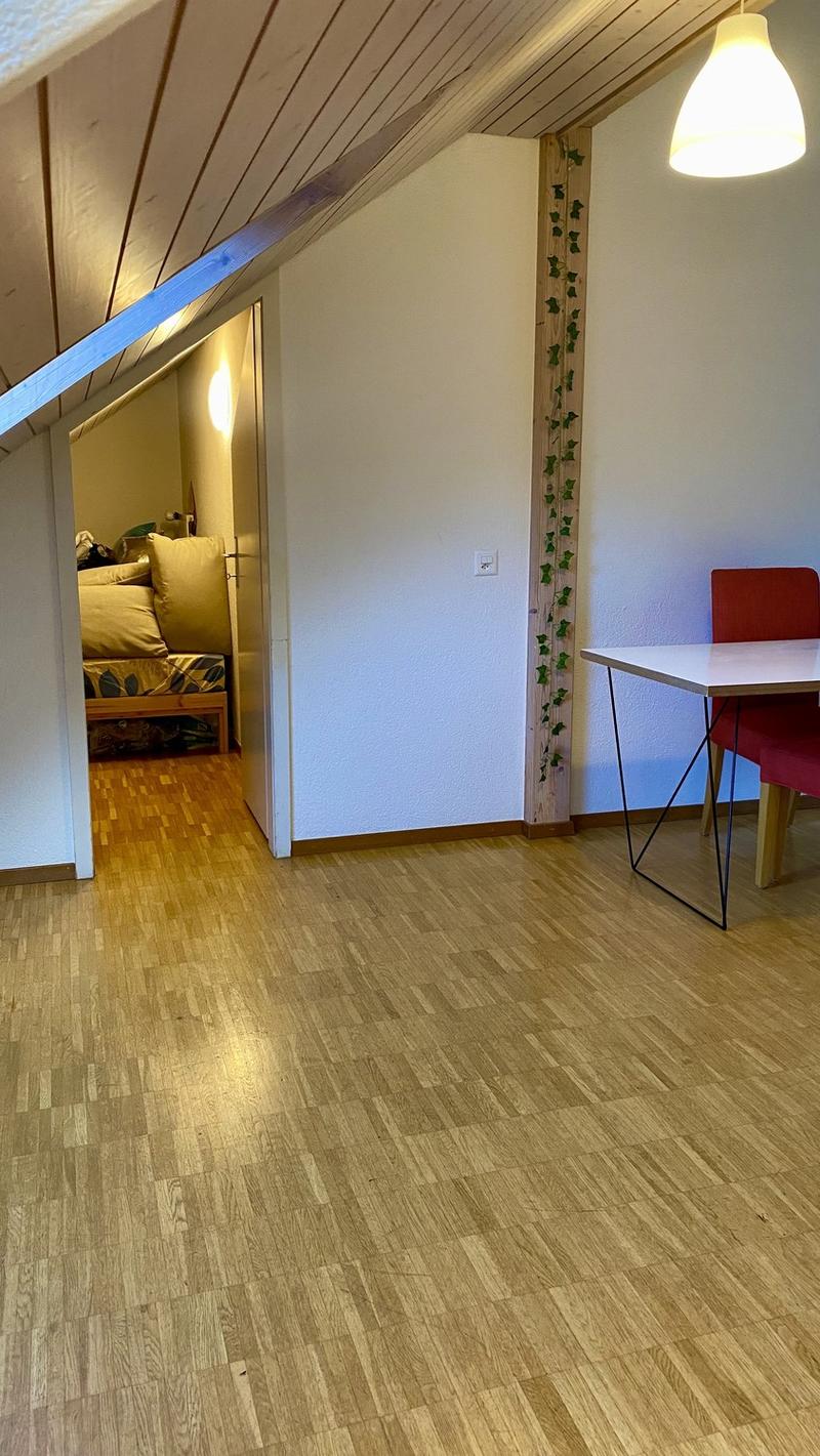 Immediately Available Beautiful Attic Apartment (7)