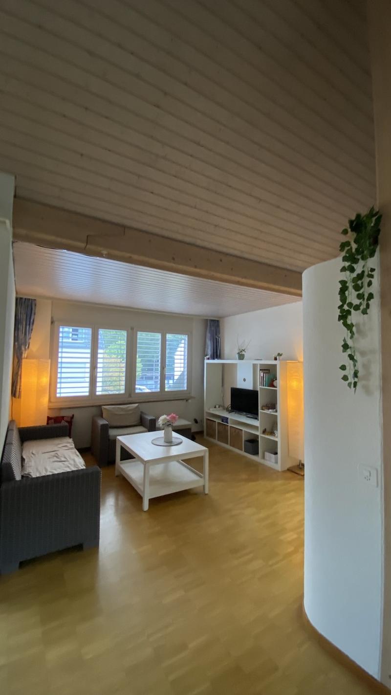 Immediately Available Beautiful Attic Apartment (4)