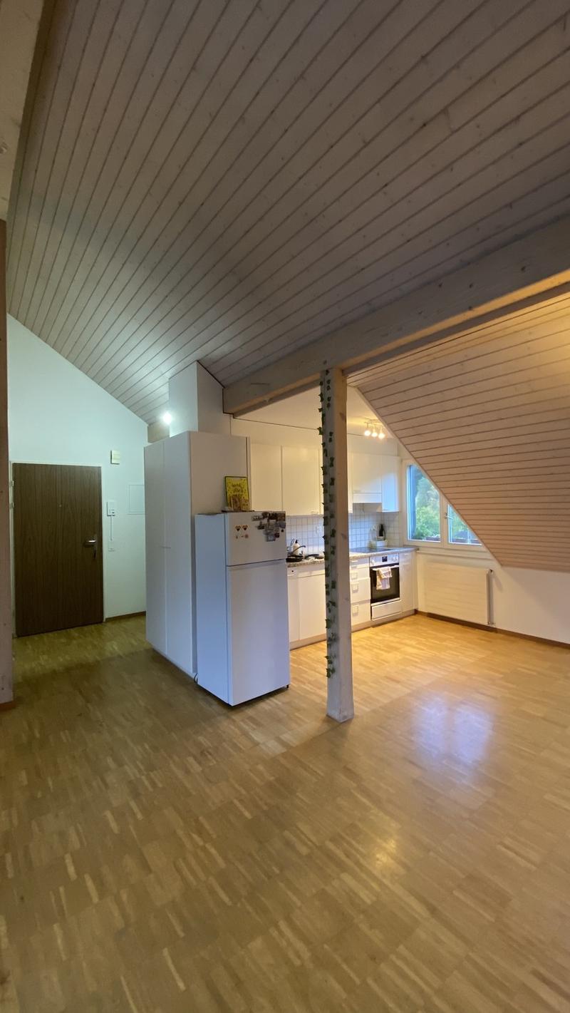 Immediately Available Beautiful Attic Apartment (8)