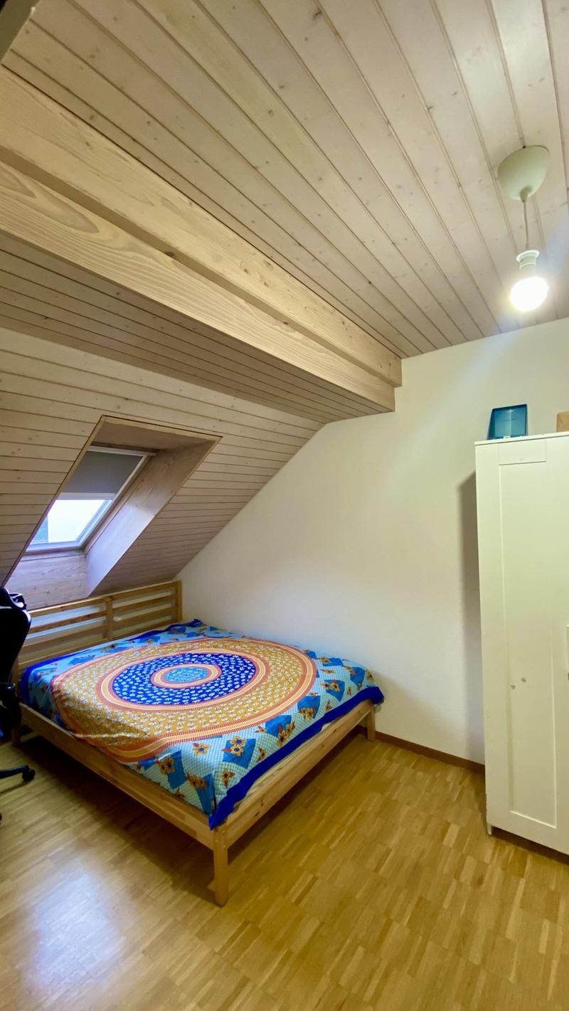 Immediately Available Beautiful Attic Apartment (6)