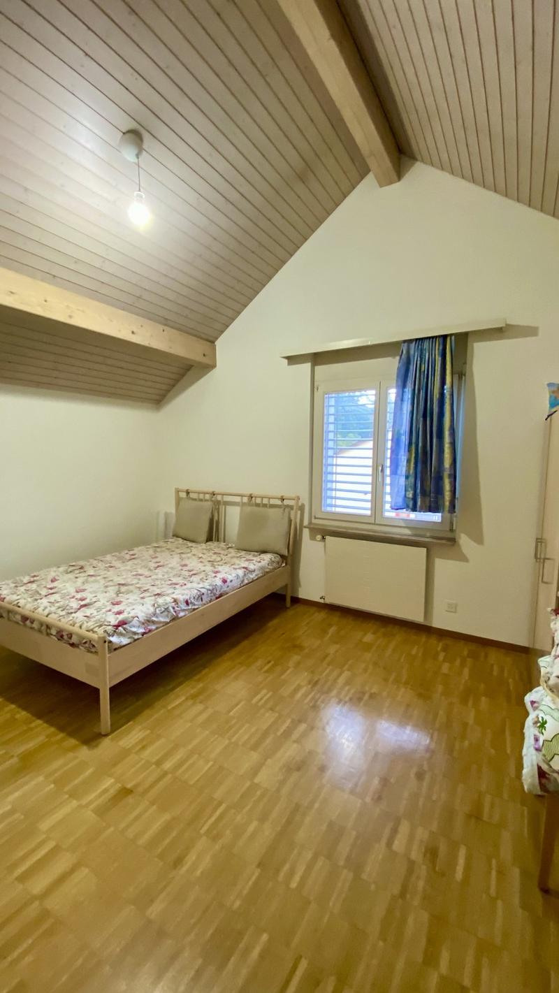 Immediately Available Beautiful Attic Apartment (5)