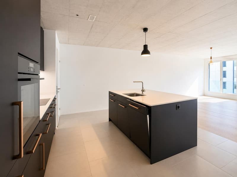 Modern 5.5 Room Flatshare in Lucerne, 16mq room (2)
