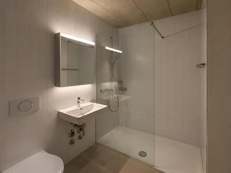 Modern 5.5 Room Flatshare in Lucerne, 16mq room (1)