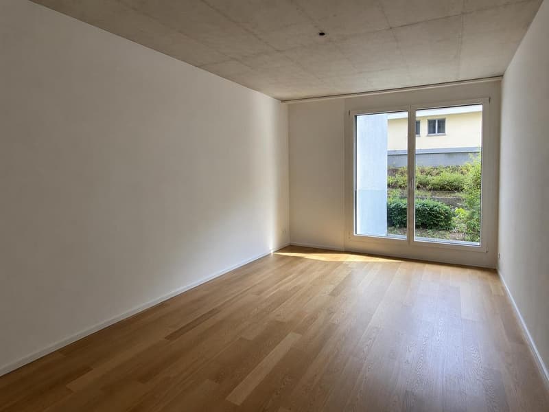 Modern 5.5 Room Flatshare in Lucerne, 16mq room (5)