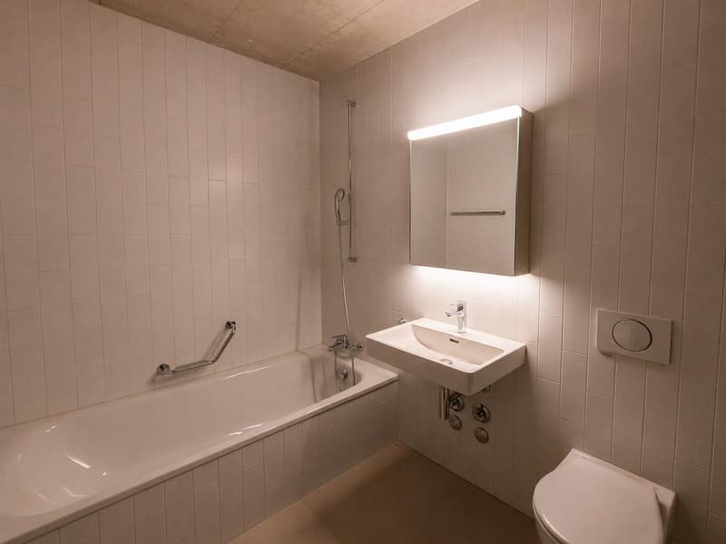 Modern 5.5 Room Flatshare in Lucerne, 16mq room (4)