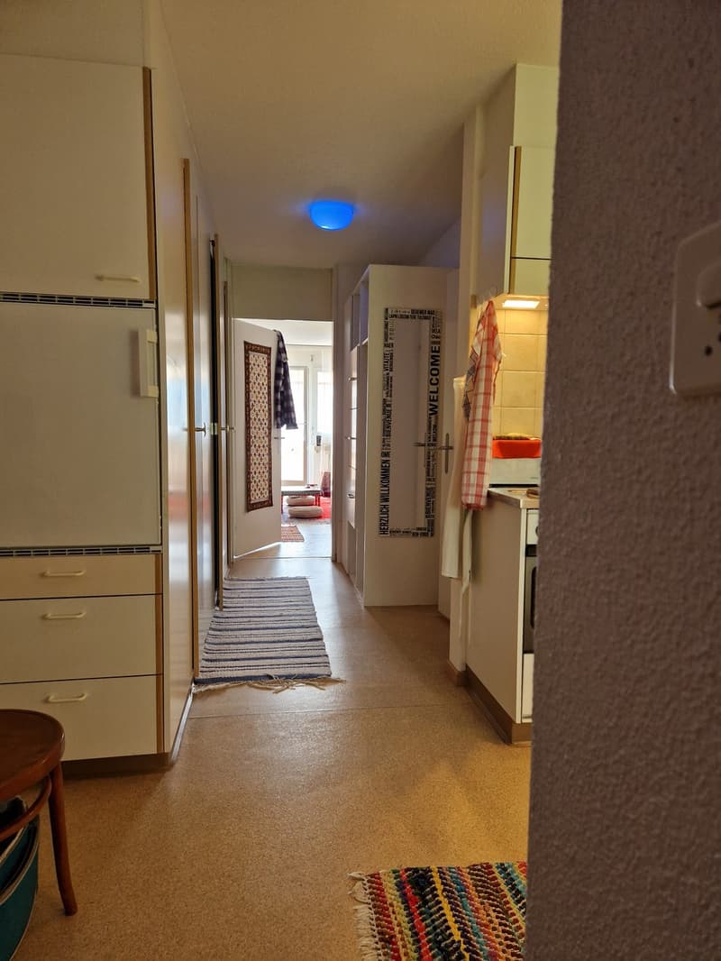 WG-Fee gesucht (13)