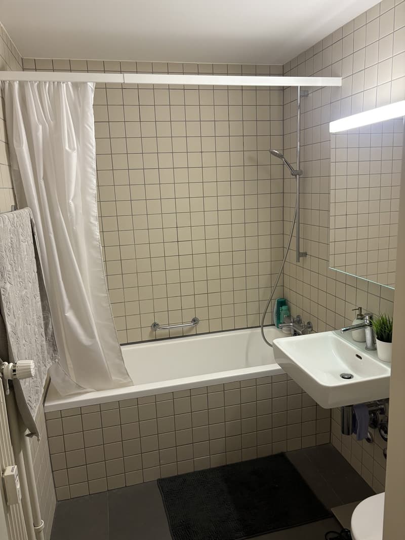 Einzimmerwohnung mit 32 m², bestehend aus Badezimmer, Küche und Wohn-/Schlafzimmer (1)